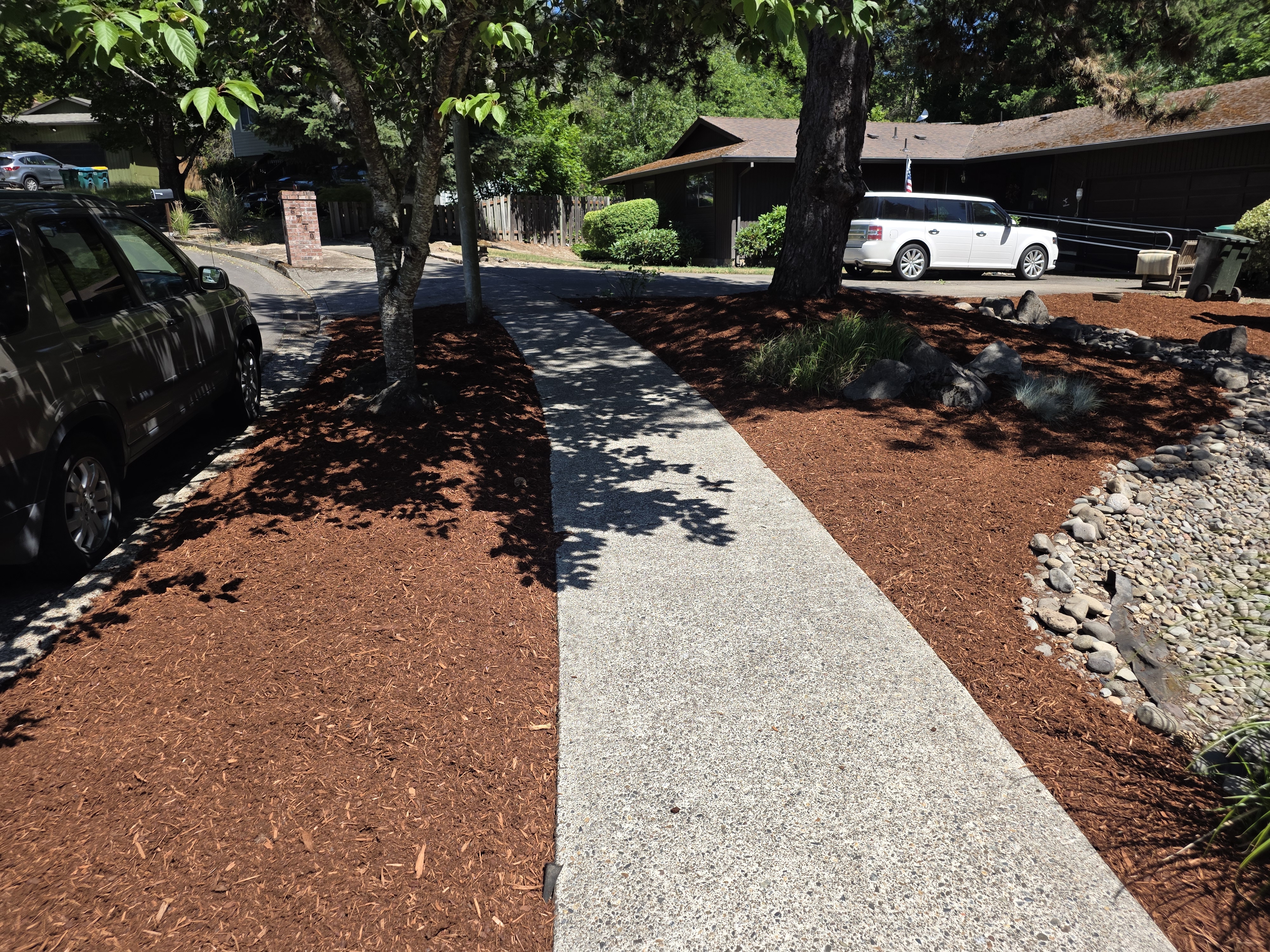 Concreate path through mulch garden